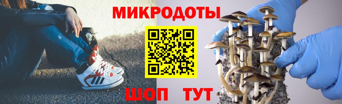 где купить   Вход с VPN  Домодедово  Псилоцибиновые грибы Magic Shrooms 